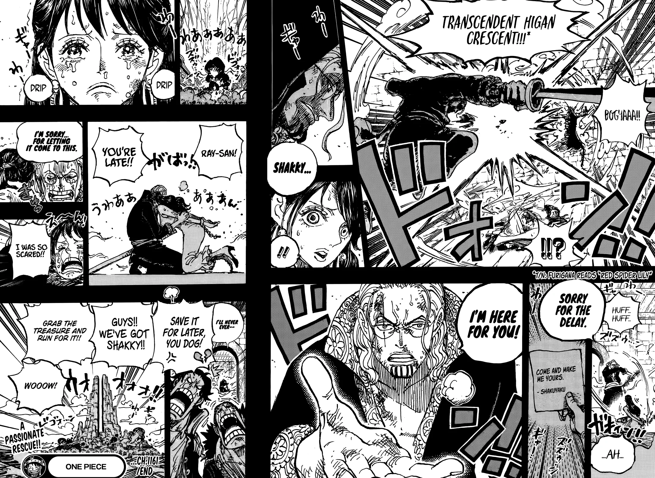 One Piece Chapter 1161 Online Page 14